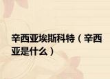 辛西亚埃斯科特（辛西亚是什么）