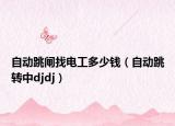 自动跳闸找电工多少钱（自动跳转中djdj）