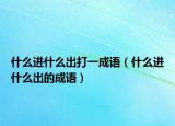 什么进什么出打一成语（什么进什么出的成语）