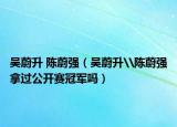 吴蔚升 陈蔚强（吴蔚升\陈蔚强拿过公开赛冠军吗）