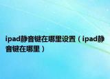 ipad静音键在哪里设置（ipad静音键在哪里）