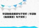 毕淑敏我很重要句子赏析（毕淑敏《我很重要》句子赏析）