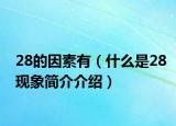 28的因素有（什么是28现象简介介绍）