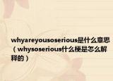 whyareyousoserious是什么意思（whysoserious什么梗是怎么解释的）