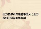 王力宏你不知道的事图片（王力宏你不知道的事歌词）