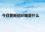 今日更新纺织娘是什么