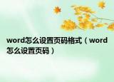word怎么设置页码格式（word怎么设置页码）
