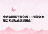 中钢集团属于国企吗（中钢设备有限公司是私企还是国企）