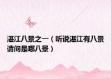 湛江八景之一（听说湛江有八景请问是哪八景）