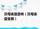 贝母表盘是啥（贝母表盘变黄）