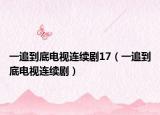 一追到底电视连续剧17（一追到底电视连续剧）