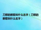 刀郎的新歌叫什么名字（刀郎的新歌叫什么名字）