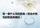 有一首什么雪的歌曲（歌名中有雪的歌曲有哪些）