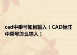 cad中乘号如何输入（CAD标注中乘号怎么输入）