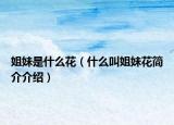 姐妹是什么花（什么叫姐妹花简介介绍）