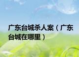 广东台城杀人案（广东台城在哪里）