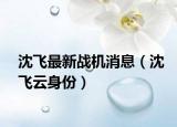沈飞最新战机消息（沈飞云身份）
