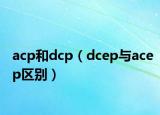 acp和dcp（dcep与acep区别）
