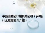 平顶山数码印刷机喷码机（pd是什么意思简介介绍）