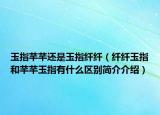 玉指芊芊还是玉指纤纤（纤纤玉指和芊芊玉指有什么区别简介介绍）