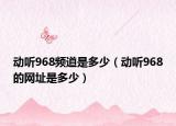 动听968频道是多少（动听968的网址是多少）
