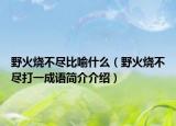 野火烧不尽比喻什么（野火烧不尽打一成语简介介绍）