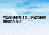 农业项目都有什么（农业项目有哪些简介介绍）