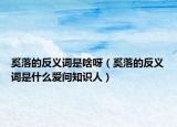 奚落的反义词是啥呀（奚落的反义词是什么爱问知识人）