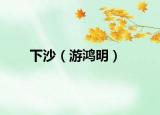 下沙（游鸿明）
