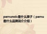 pamunoic是什么牌子（pamu是什么品牌简介介绍）