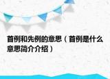 首例和先例的意思（首例是什么意思简介介绍）