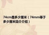 74cm是多少厘米（74mm等于多少厘米简介介绍）
