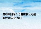 诺菲集团简介（浦诺菲公司是一家什么样的公司）