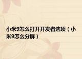 小米9怎么打开开发者选项（小米9怎么分屏）