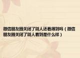微信朋友圈关闭了别人还看得到吗（微信朋友圈关闭了别人看到是什么样）
