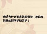 鹿晗为什么要去韩国留学（鹿晗在韩国的那所学校留学）