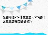 饭圈用语xfx什么意思（xfx是什么意思饭圈简介介绍）