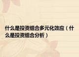 什么是投资组合多元化效应（什么是投资组合分析）