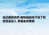 当日最新消息 被拍扁的蚊子成了犯罪目击证人 来看案件真相