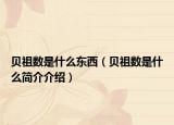 贝祖数是什么东西（贝祖数是什么简介介绍）
