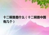 十二铜首是什么（十二铜首中国有几个）