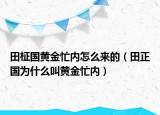 田柾国黄金忙内怎么来的（田正国为什么叫黄金忙内）