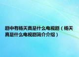 剧中有杨天真是什么电视剧（杨天真是什么电视剧简介介绍）
