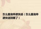 怎么查询申通快递（怎么查询申通快递到哪了）