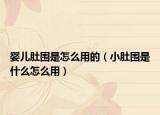 婴儿肚围是怎么用的（小肚围是什么怎么用）