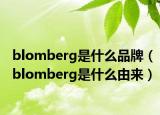 blomberg是什么品牌（blomberg是什么由来）