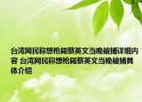 台湾网民称想枪毙蔡英文当晚被捕详细内容 台湾网民称想枪毙蔡英文当晚被捕具体介绍