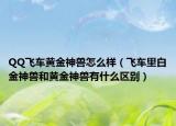 QQ飞车黄金神兽怎么样（飞车里白金神兽和黄金神兽有什么区别）