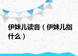 伊妹儿读音（伊妹儿指什么）
