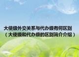 大使级外交关系与代办级有何区别（大使级和代办级的区别简介介绍）